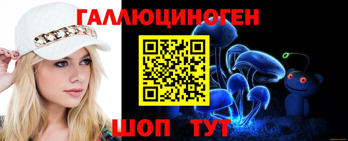 Электрогорск  Псилоцибиновые грибы мухоморы  Галлюциногенные грибы GOLDEN TEACHER  Вход с VPN 