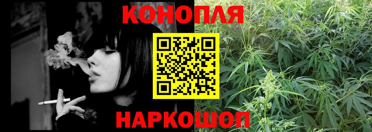 Бошки марихуана семена  Вход с VPN  Конопля ГИДРОПОН  Бошки марихуана AK-47  Электрогорск 
